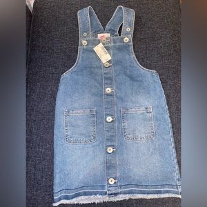 Denim overall dress